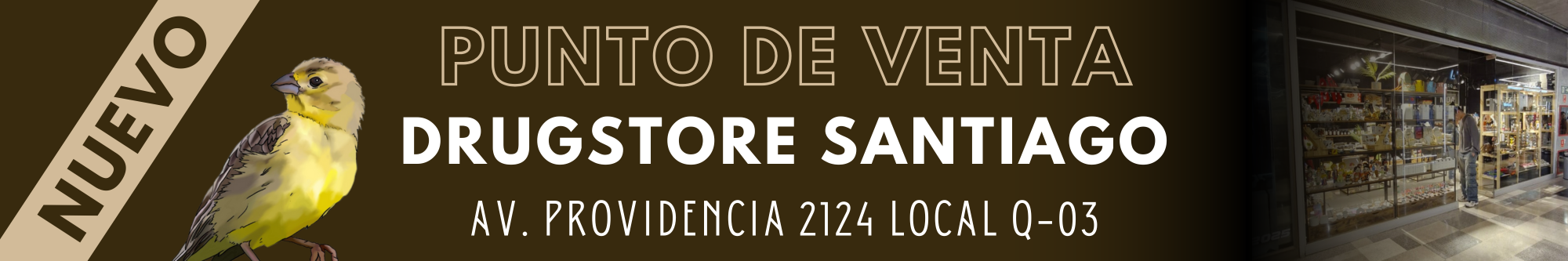 Título de la Sección