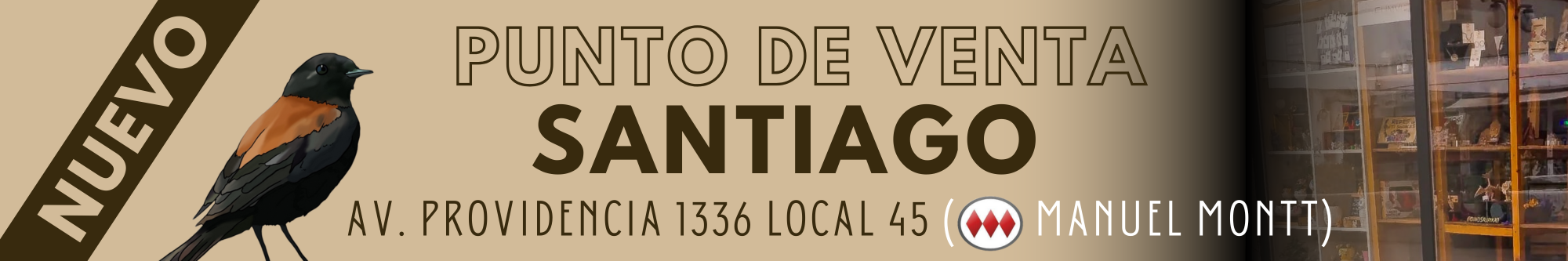 Título de la Sección