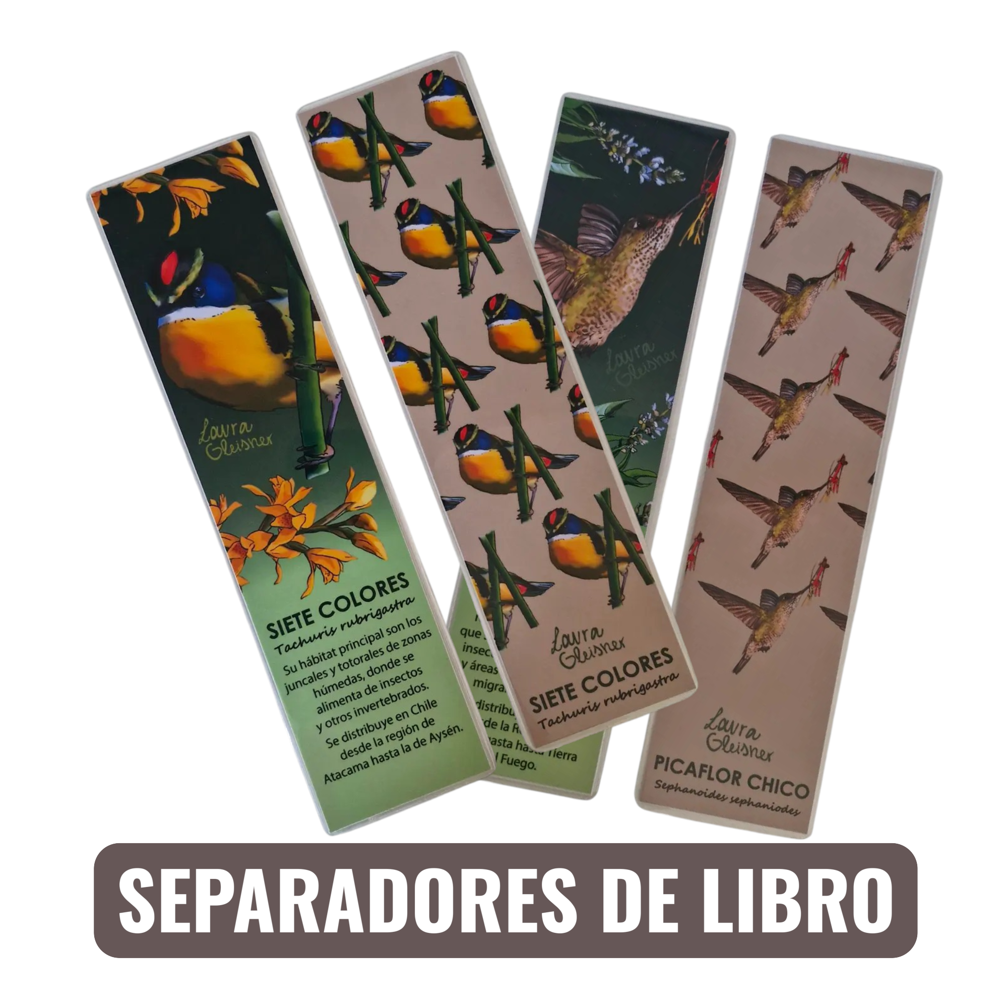 Libretas, post it y separadores