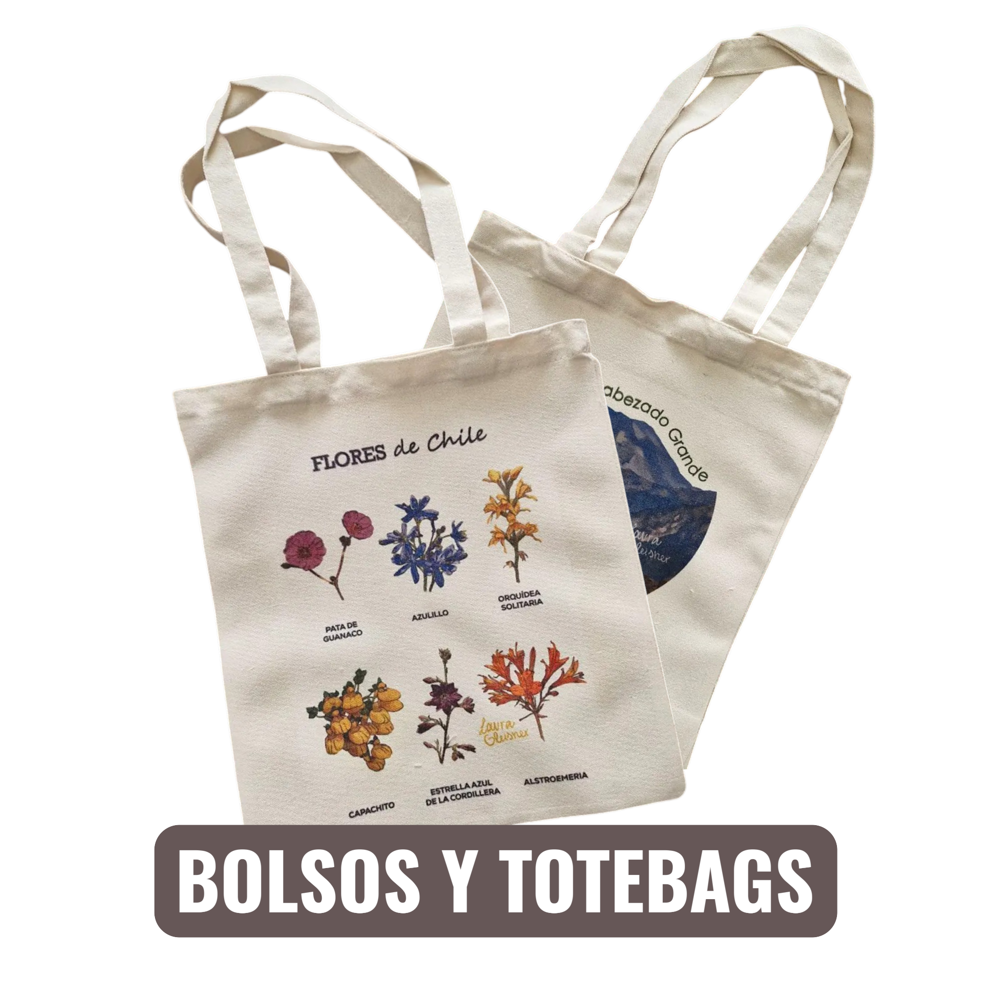 Bolsos y totebags