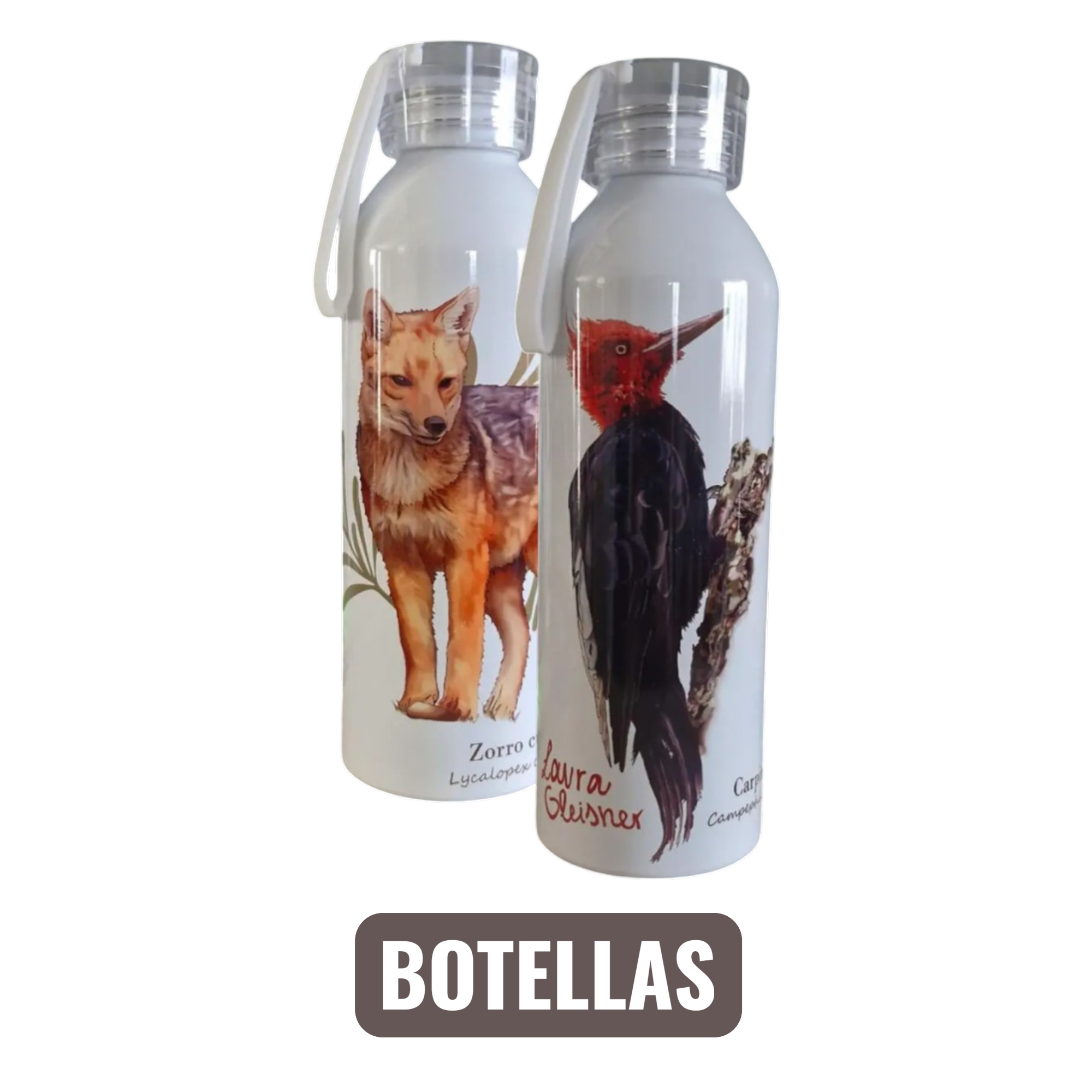 Botellas