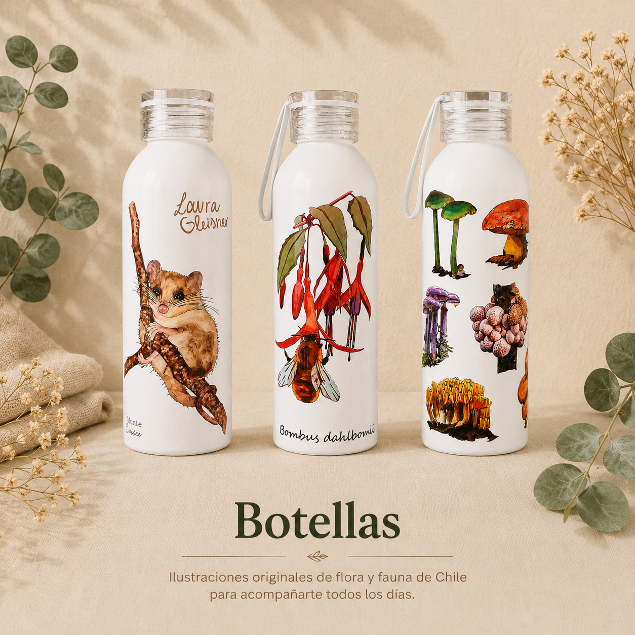 Botellas
