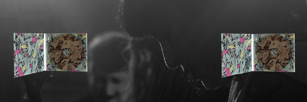 ANIMALES EXOTICOS DESAMPARADOS