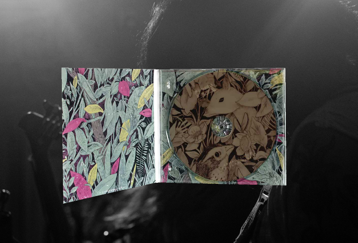 Animales Exóticos Desamparados