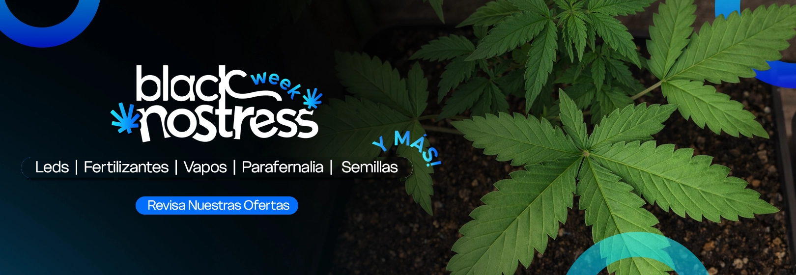 Nostress Growshop | Semillas, LED y parafernalia
