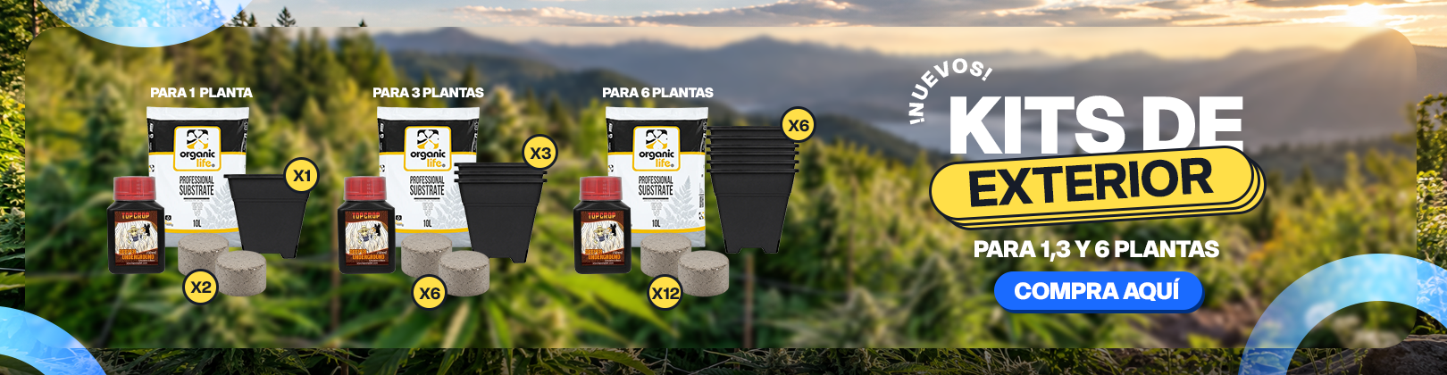 Nostress Growshop | Semillas, LED y parafernalia