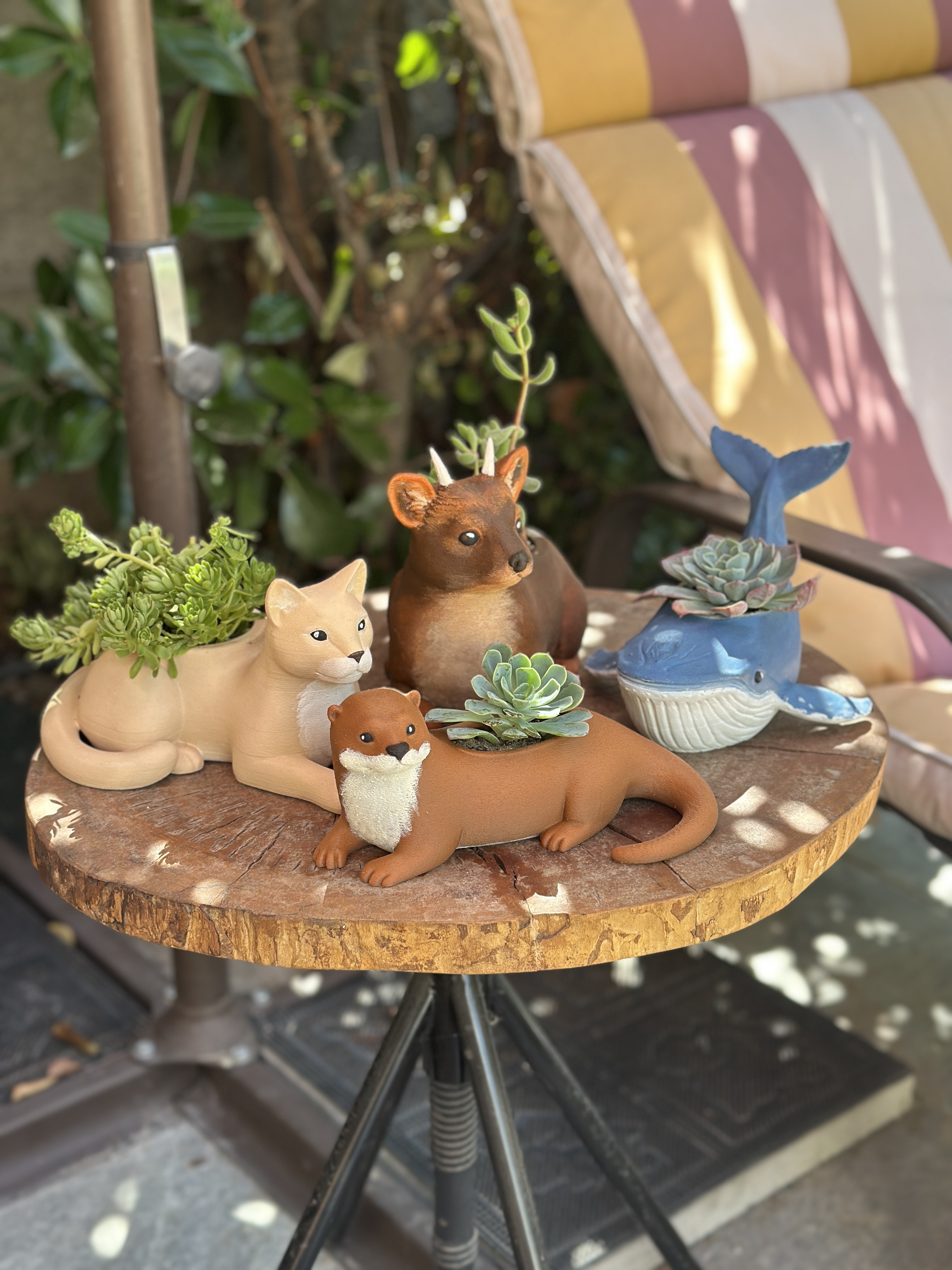Fauna y Raiz