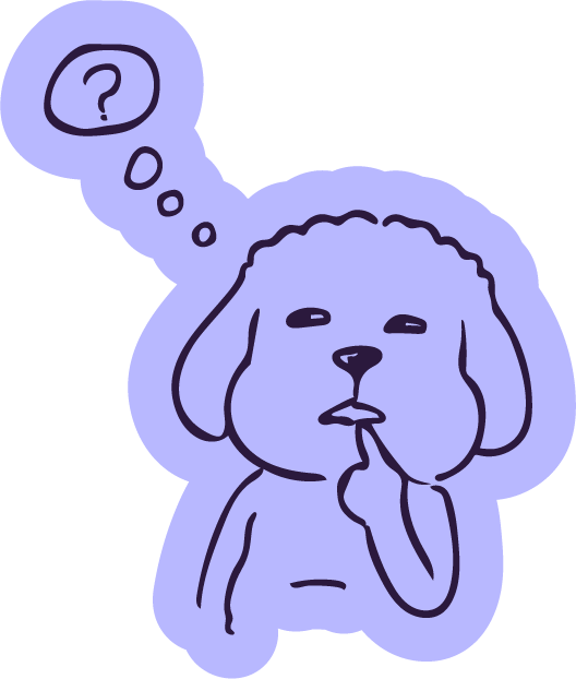 ¿PORQUE NUBE DE LLUVIA?