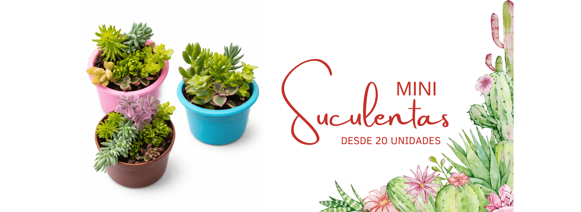 Nutritierra Chile
