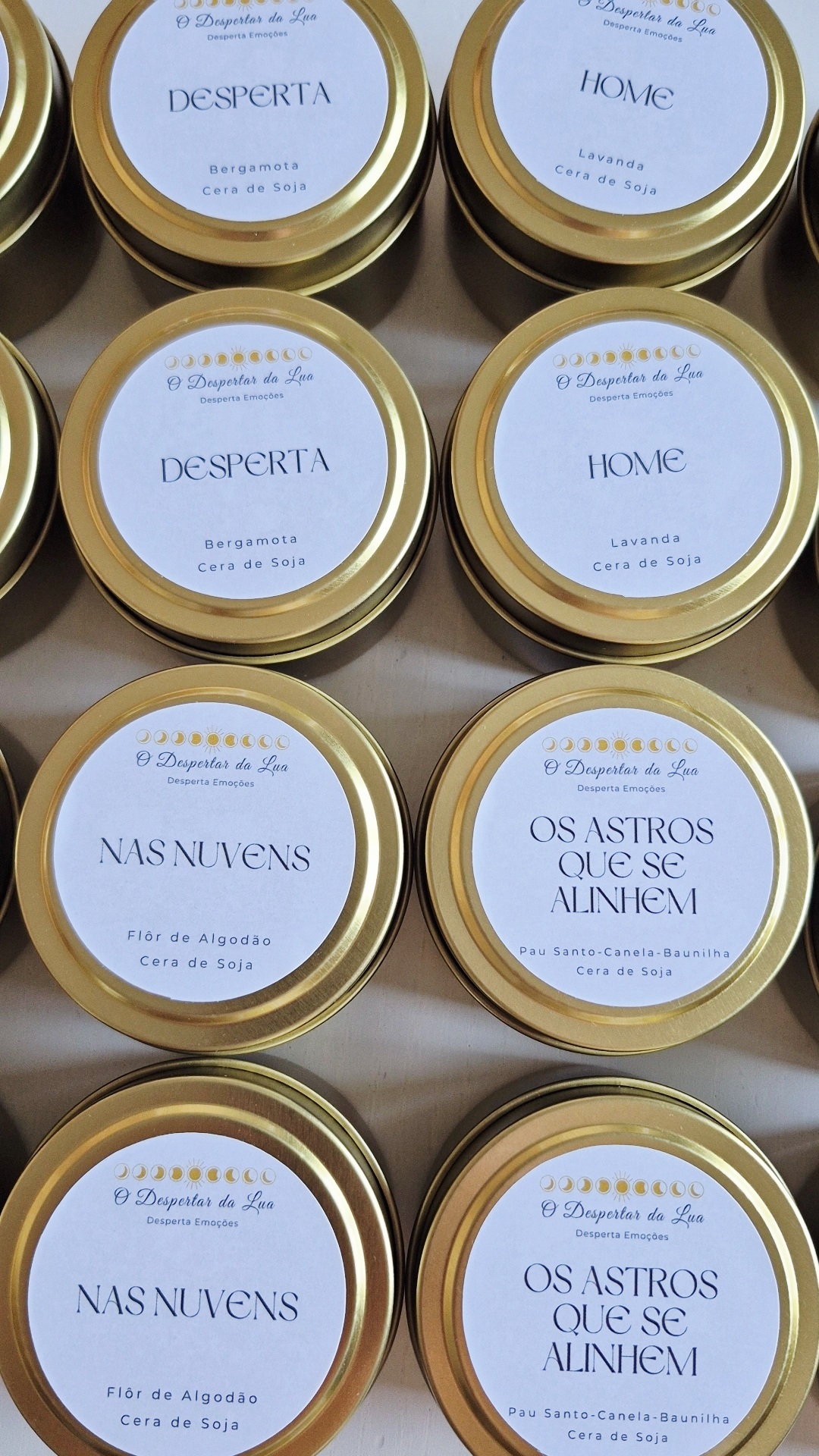 Box Descoberta
