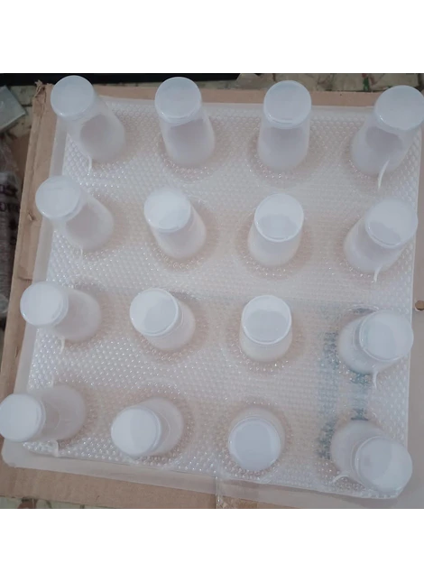 Moldes para gelapaleta