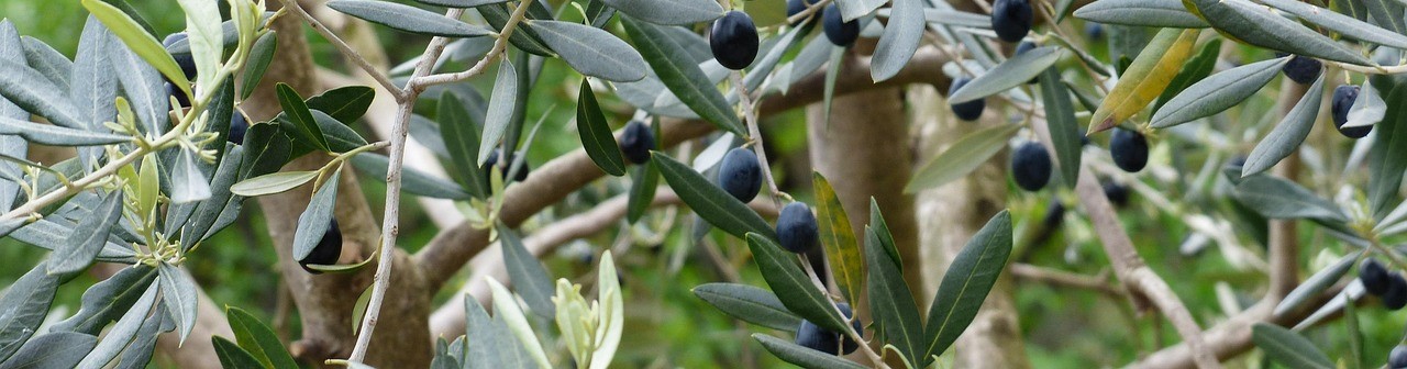 Subscreva a nossa Newsletter!