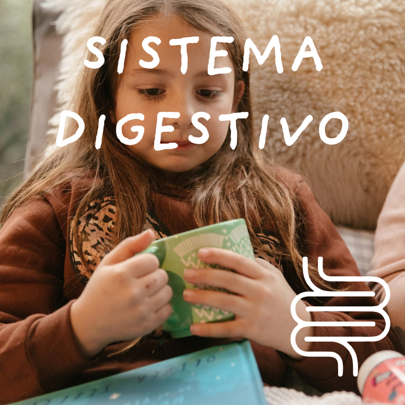 Sistema Digestivo