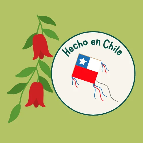 Hecho en Chile