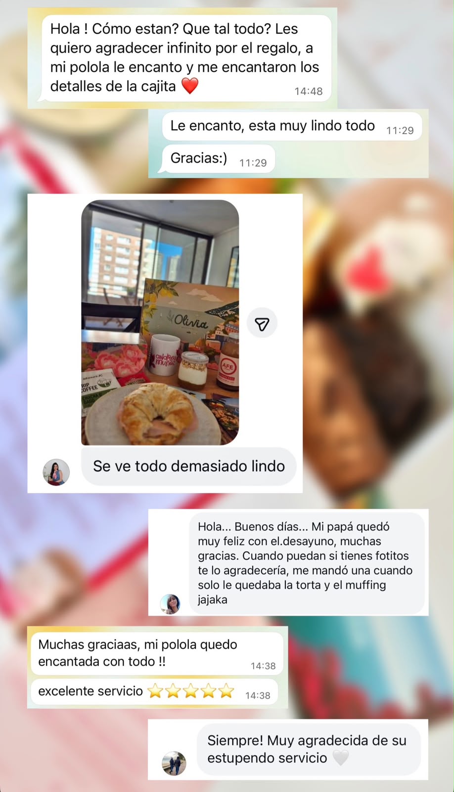 Desayunos a domicilio en Santiago | Olivia Desayunos