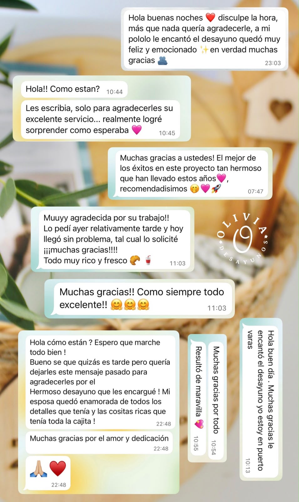 Desayunos a domicilio en Santiago | Olivia Desayunos