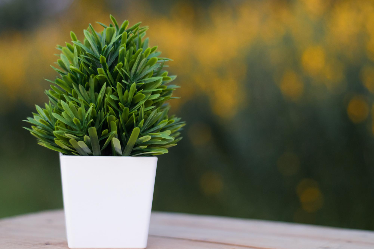 ¡Tecnología y sostenibilidad para el hogar!