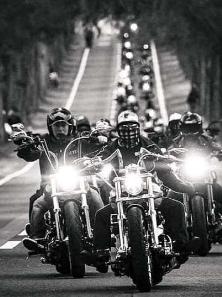 NEUMÁTICOS CUSTOM&CHOPPER