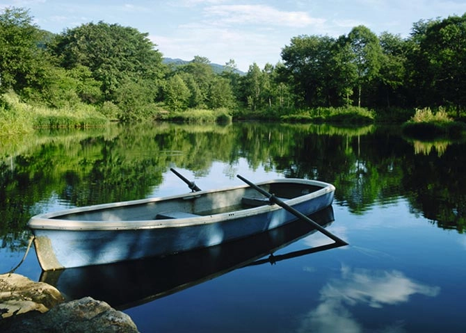 Cristales Polarizados