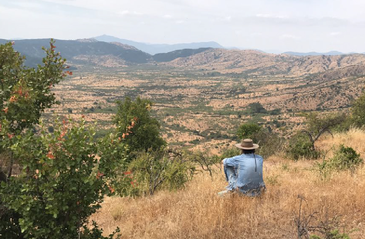  Invest with Organic Farm