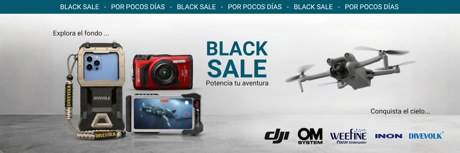 Marensepia Video & Fotografía submarina