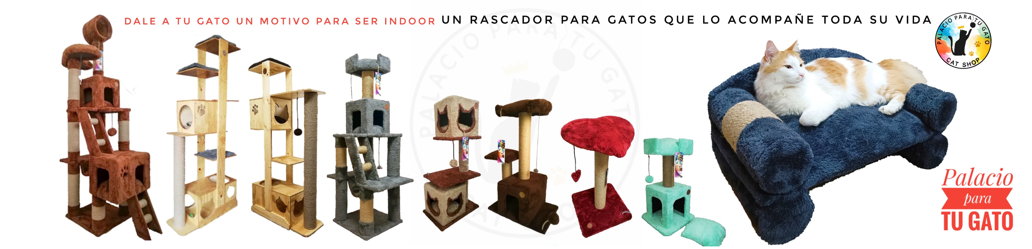 RASCADORES PARA GATOS