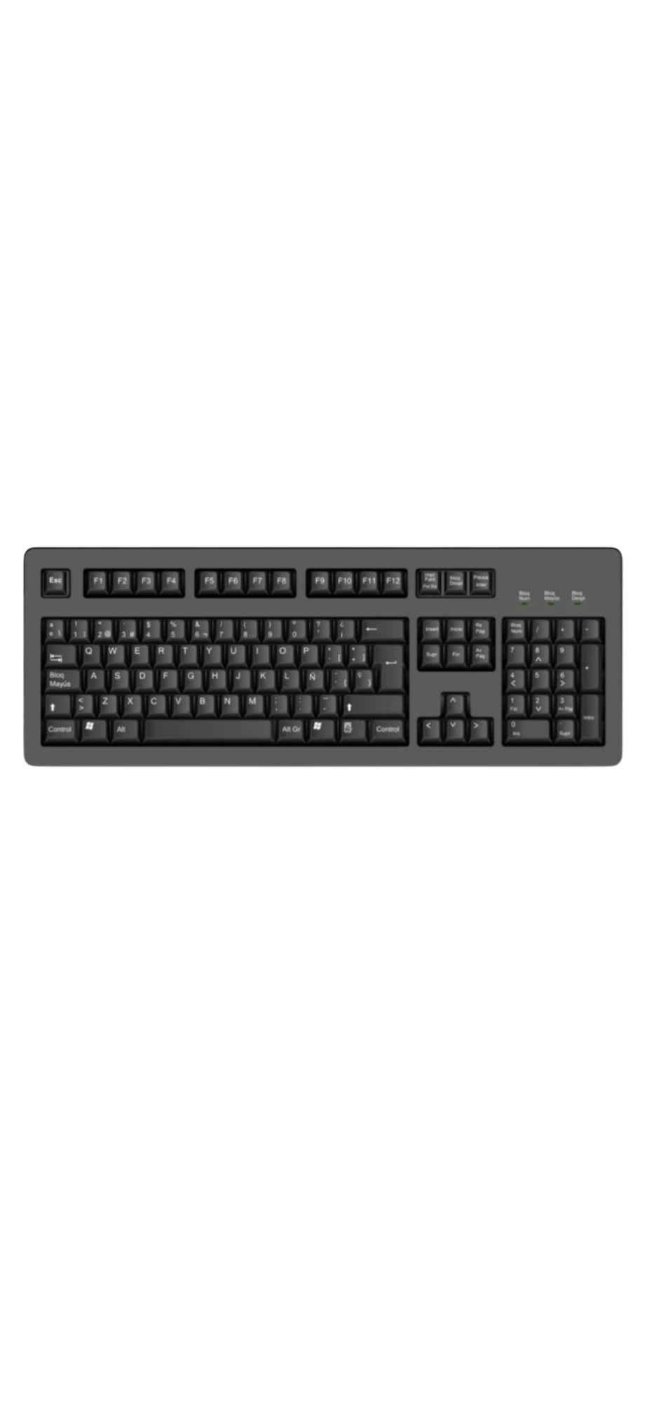 Pangui Gamer 