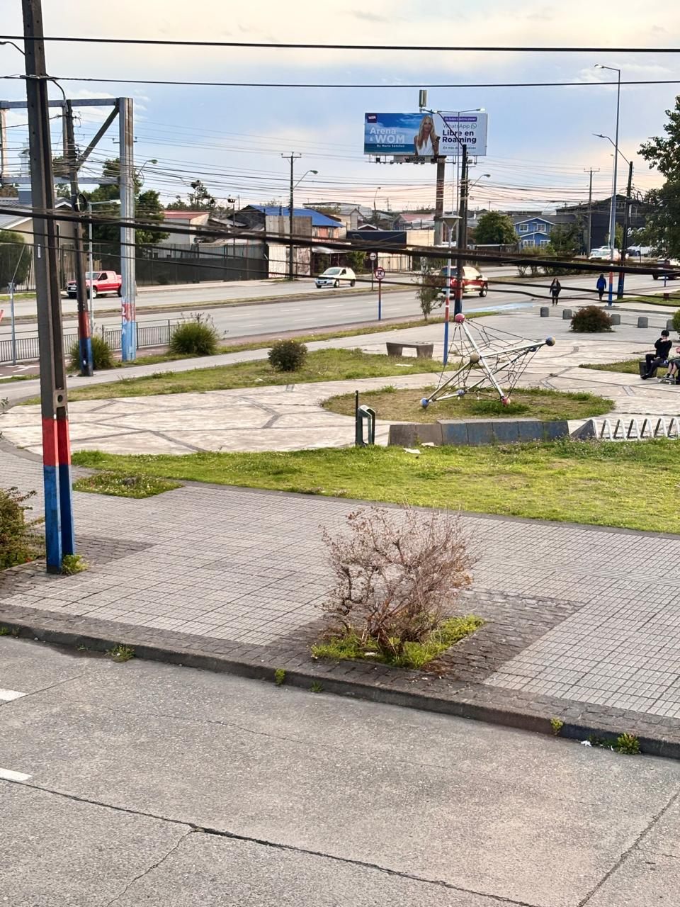 Rodeada de verde