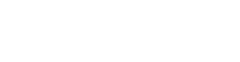 Panichini