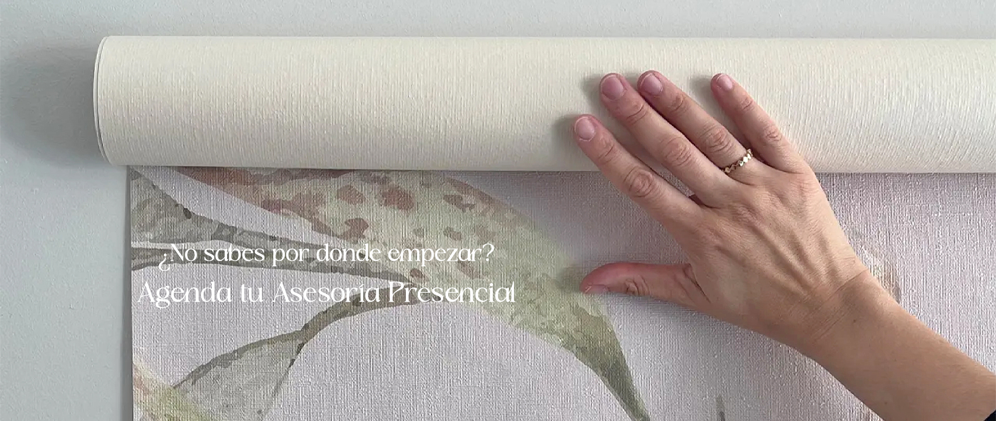 Paper & Co.
