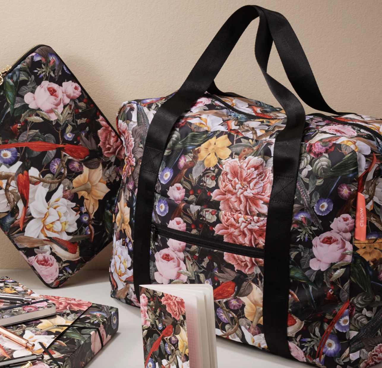 Aventúrate con los accesorios Cedon