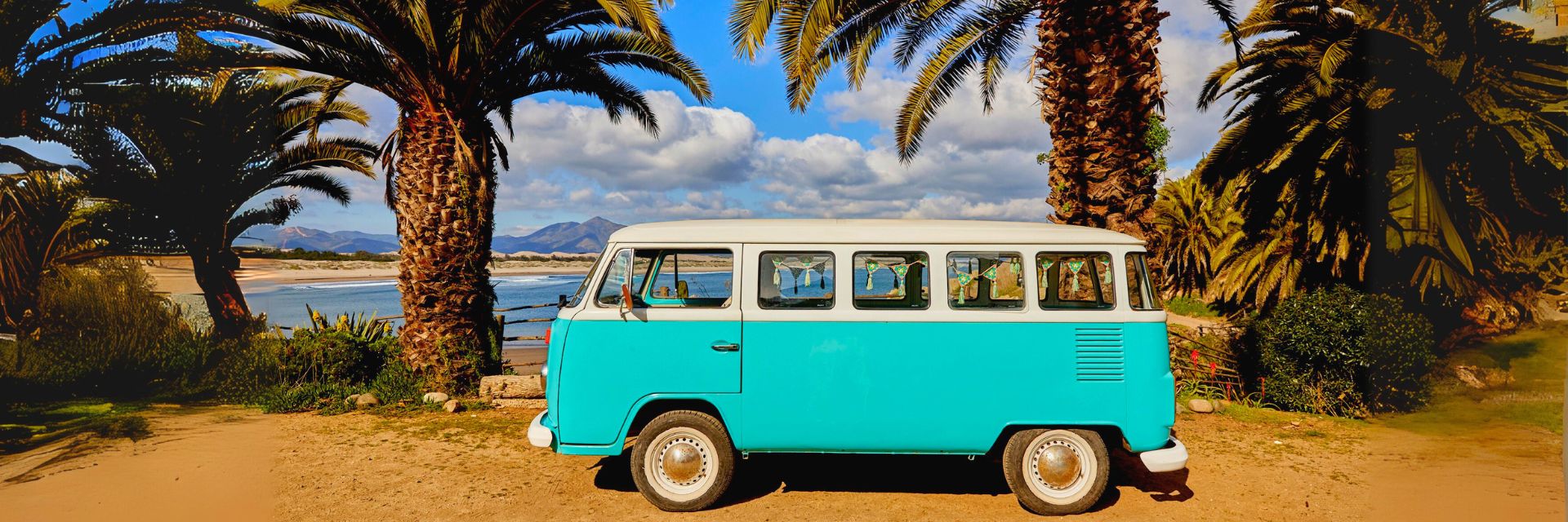 ParadiseJeans-Mayorista