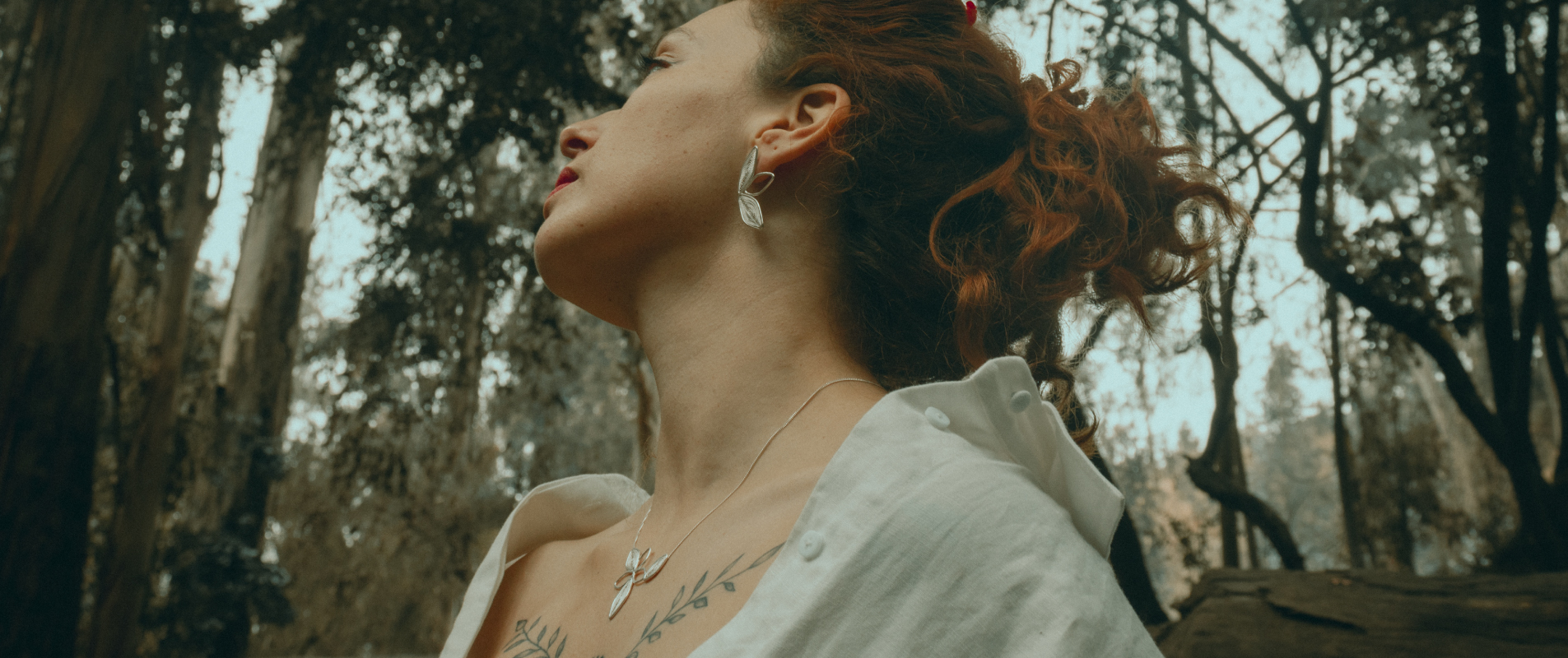 El bosque nos inspira<br>