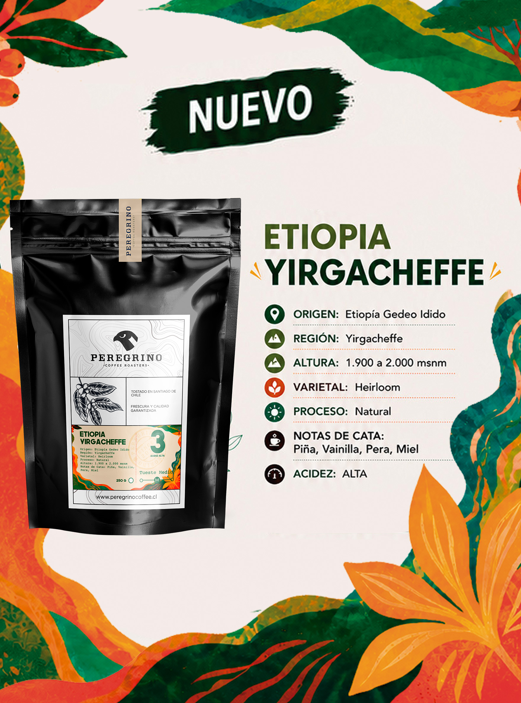ETIOPIA&nbsp;YIRGACHEFFE