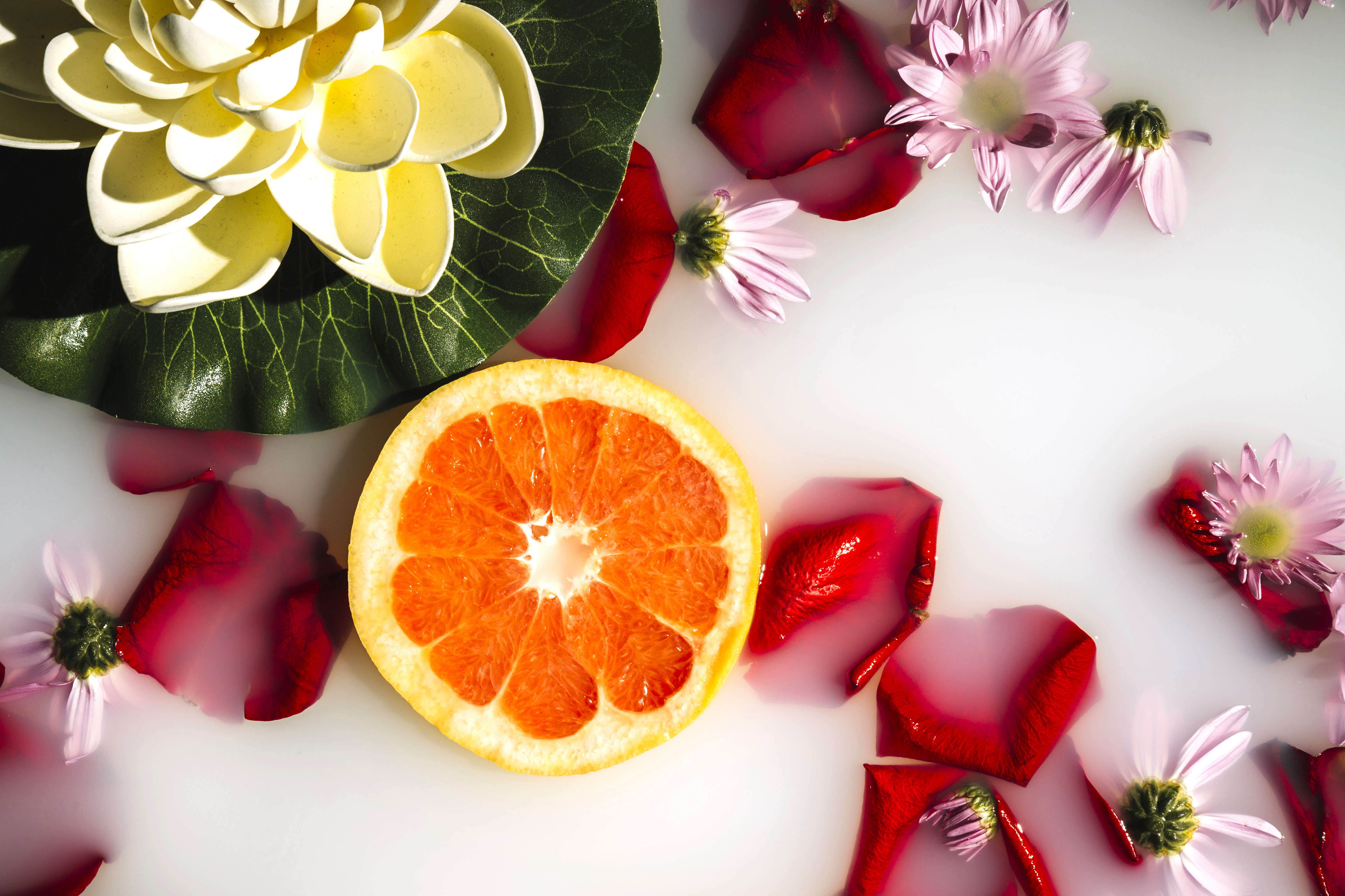 Floral Frutado