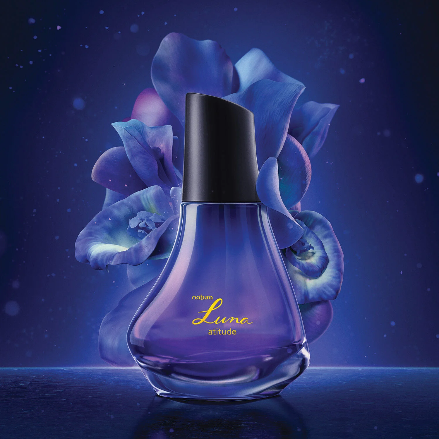 🌸 Perfumes Femeninos