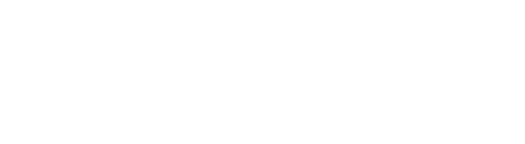 Logo Premium Perfumes