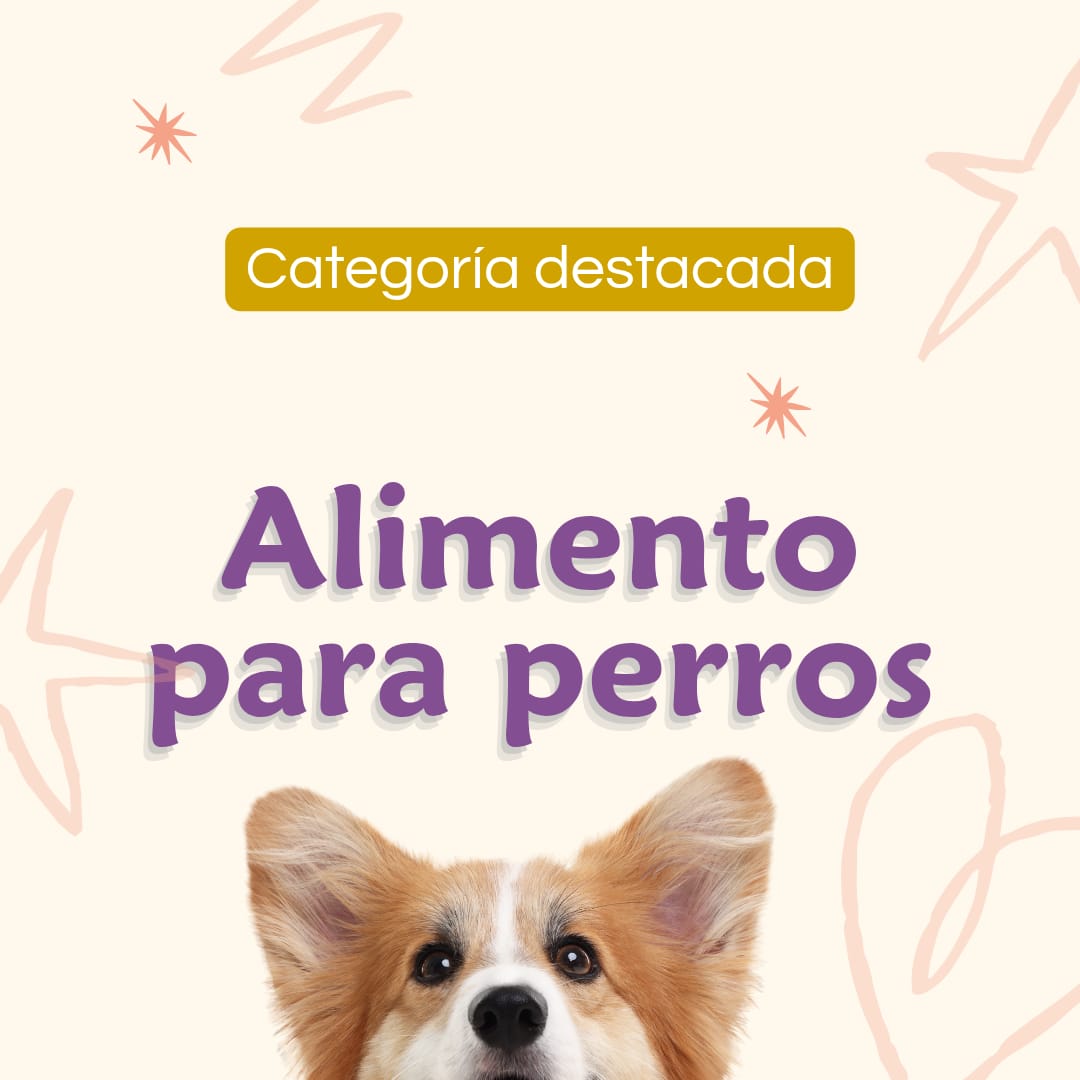 Perrilook - Peluqueria Canina y Tienda de Mascotas en La Reina