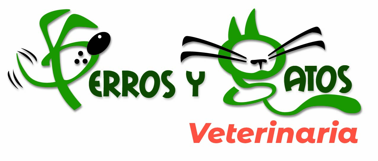 perrosygatos