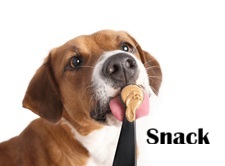 Snack Perros
