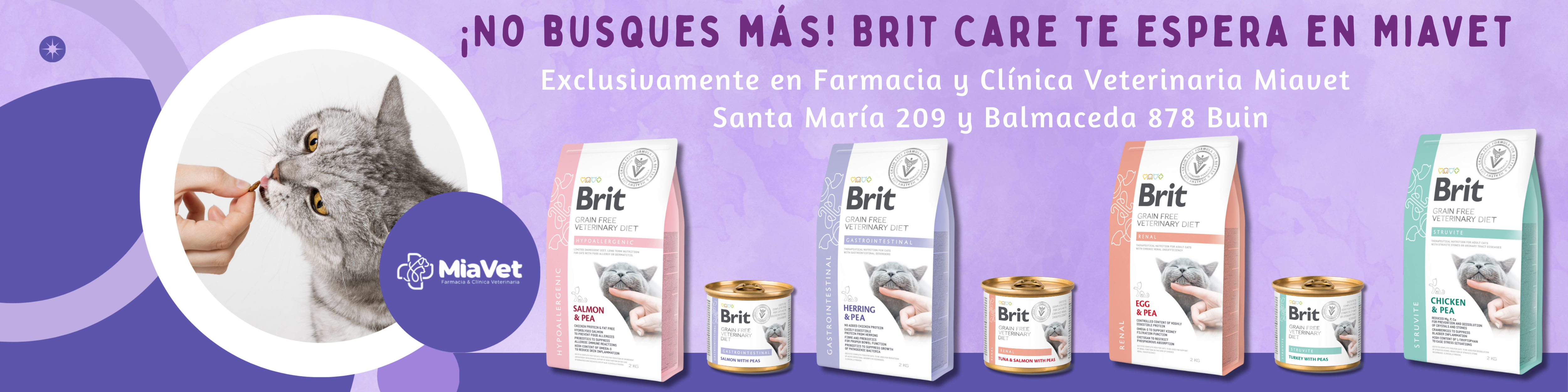 brit medicado gatos