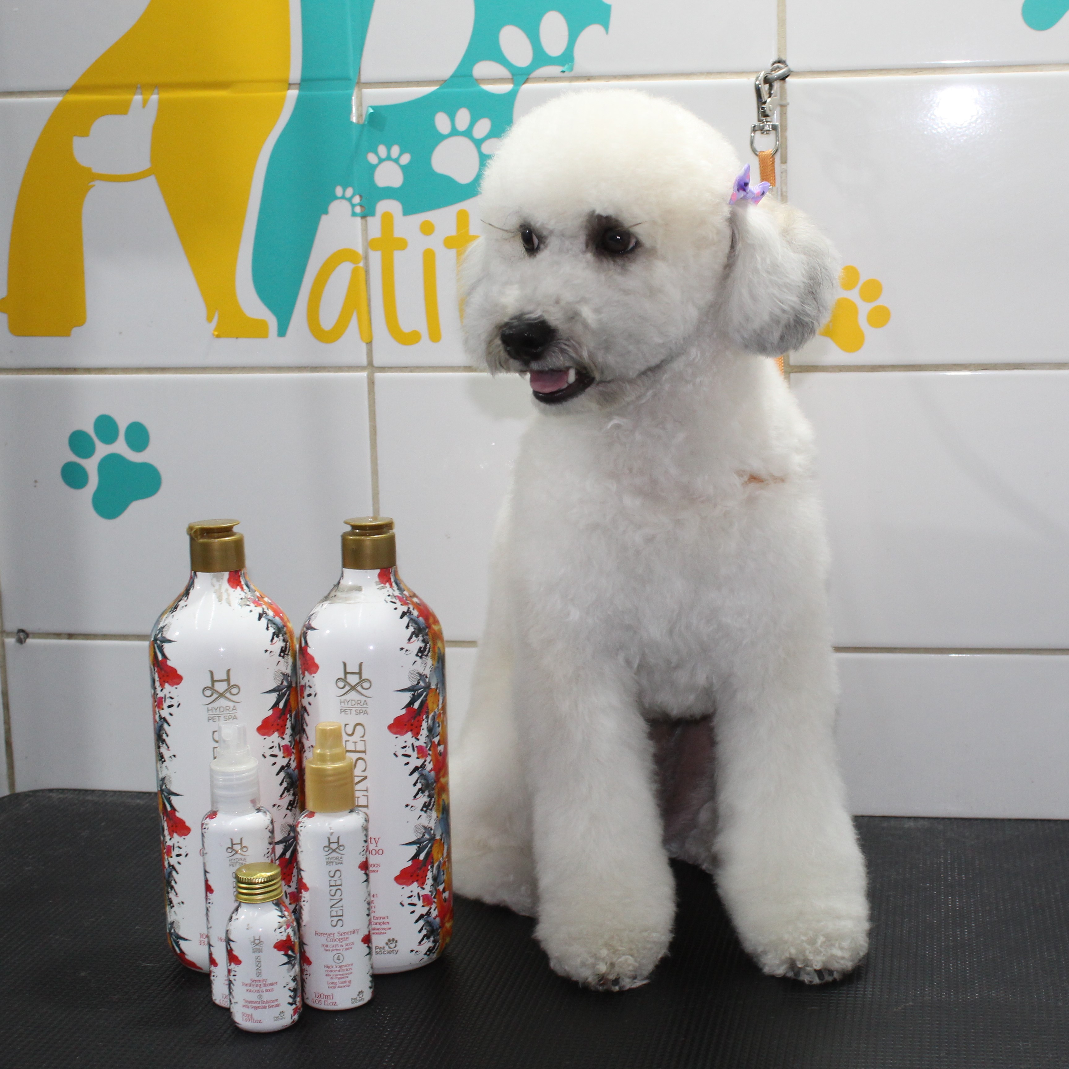 Galería de Trabajos