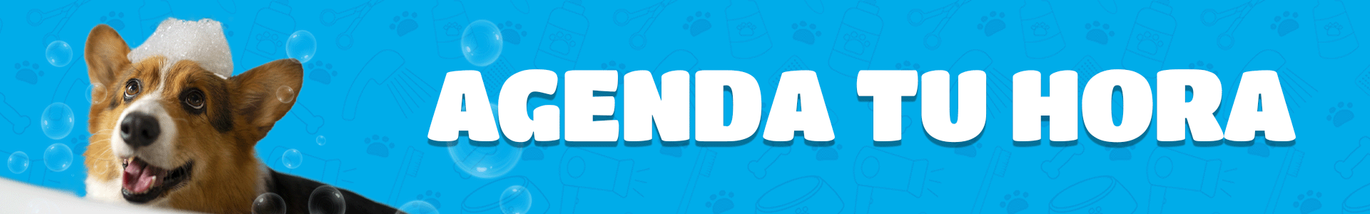 Título de la Sección