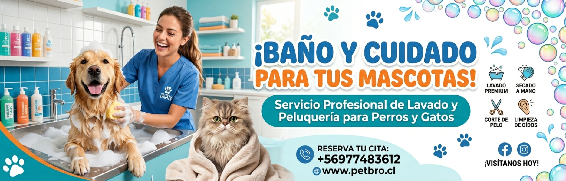 Título de la Sección