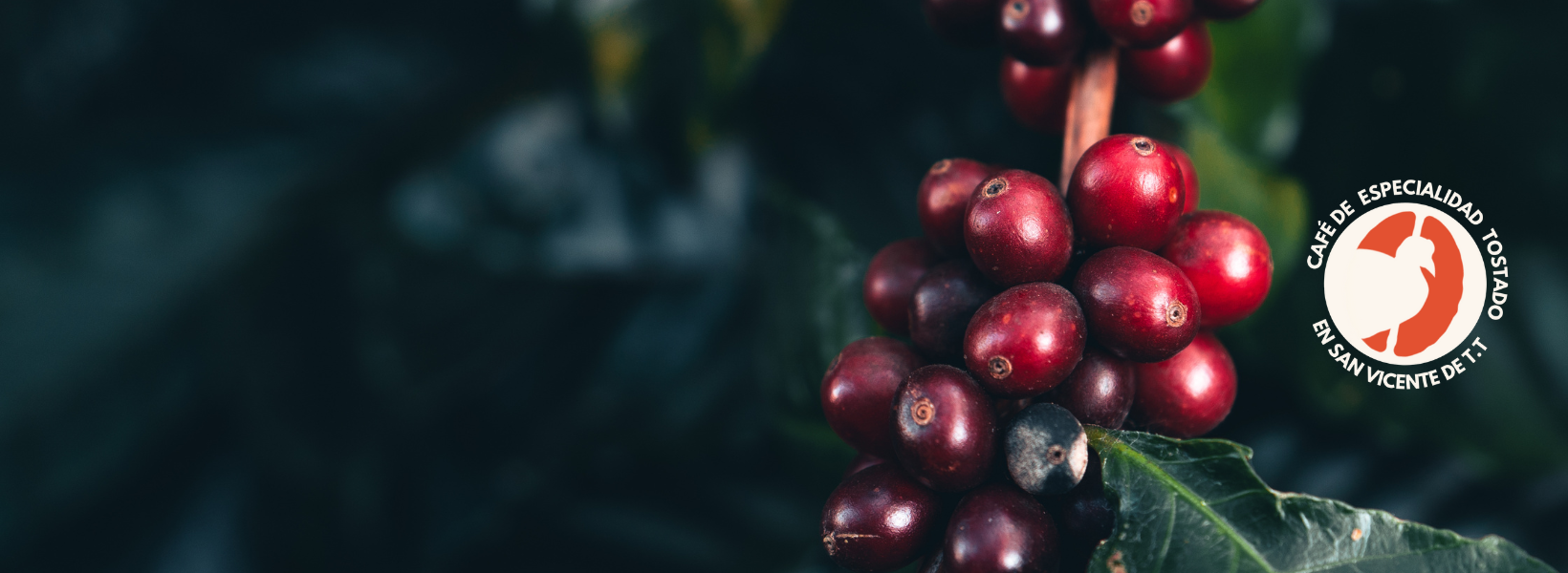 <span style="font-weight: 700;">Una forma distinta de café</span>