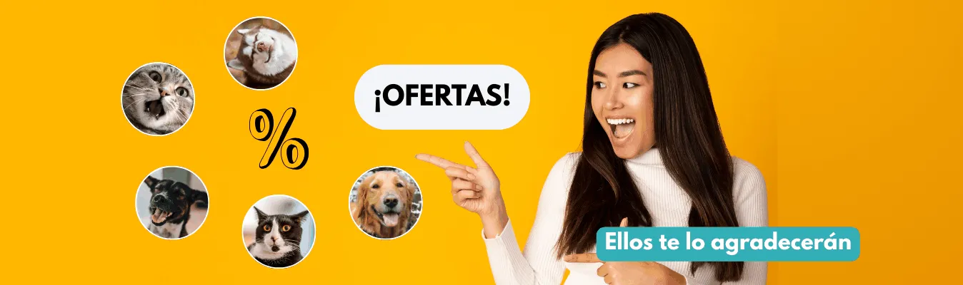 Ofertas y descuentos especiales en productos para perros y gatos en Pets Lucan Rancagua