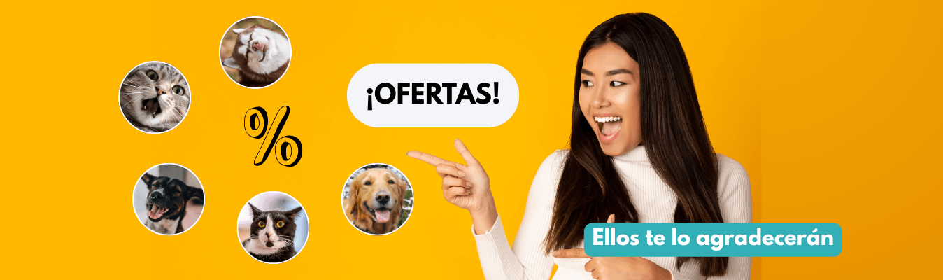 Ofertas y descuentos especiales en productos para perros y gatos en Pets Lucan Rancagua