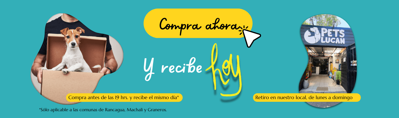 Envío el mismo día de alimento para mascotas en Rancagua, Machalí y Graneros o retiro en tienda Pets Lucan