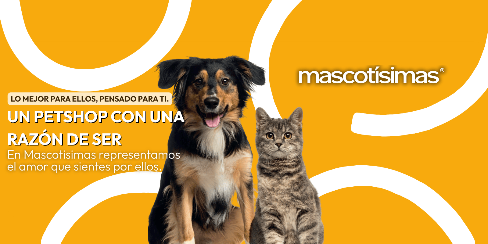 Perro y gato juntos mirando la cámara en primer plano