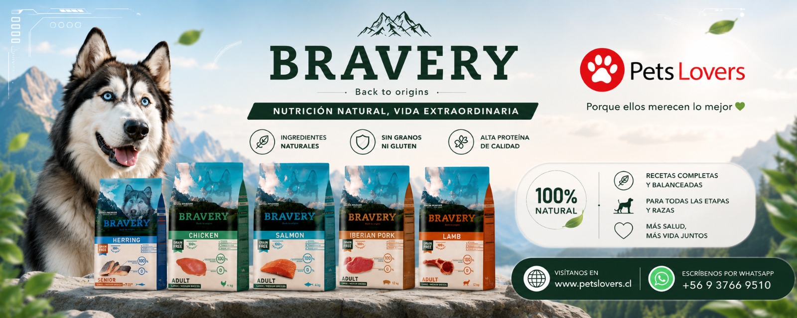 Petslovers - Tienda de alimentos y accesorios para mascotas perro, gatos y exoticos